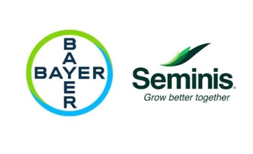SEMINIS