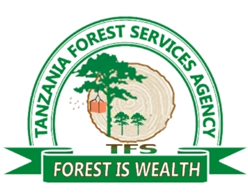 TFSA
