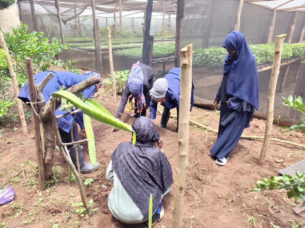 Cohort 2 Program – Bridging Theory and Practical Agricultural Skills: Borigaram College Students