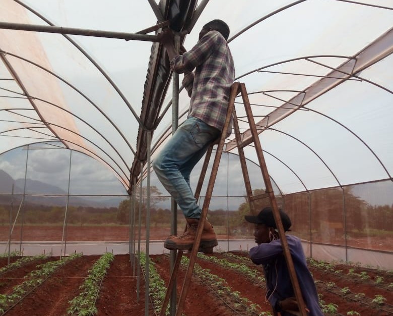 Restoration Project: National Sugar Institute (NSI) Training Structures