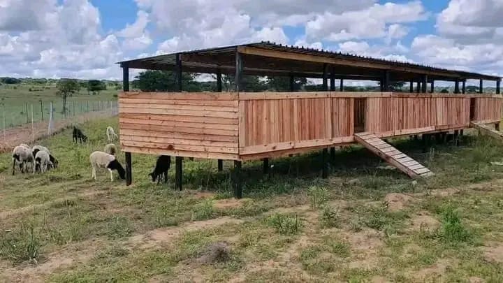 Construction of Animal and Livestock Farm Structures