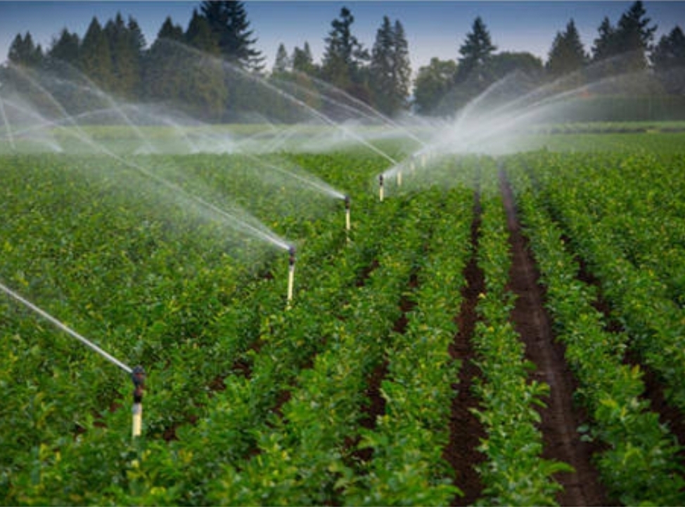 Irrigation System Design and Installation