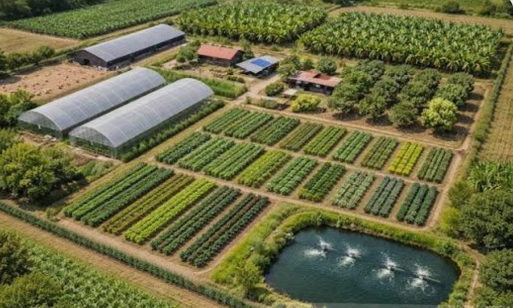 Farm Planning and Layout Design
