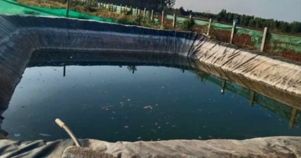 Fish Pond Design and Construction